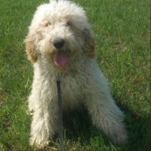 Meet your Posher, Jen